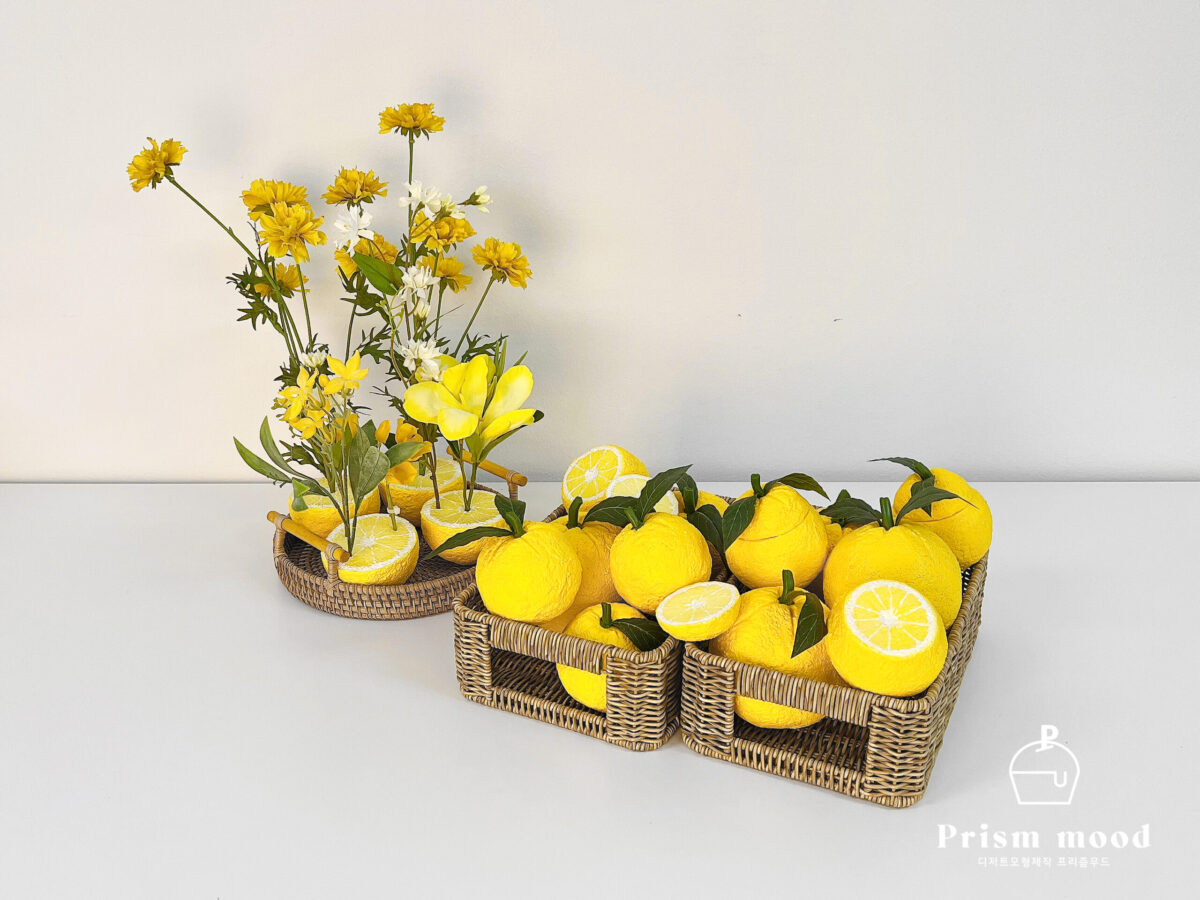 유자 과일 모형